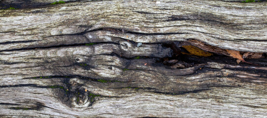 texture of old brown wood plank. background of wooden surface	
