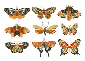 Boho vector art design with bohemian butterfly. Isolated insect icon set, hand drawn illustration ornate collection on a white background. © trihubova
