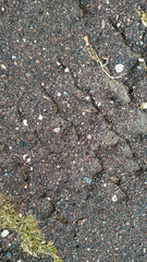 Earthquake Road. Vertical Abstract Backdrop. 