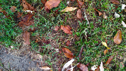 Cracked Asphalt Texture. Horizontal Abstract 