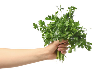 Fototapeta na wymiar Hand with fresh parsley on white background