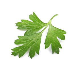 Fresh parsley on white background