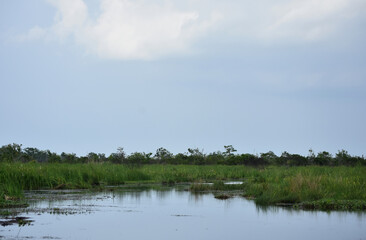 Bayou Giving Way to Marsh and Grass