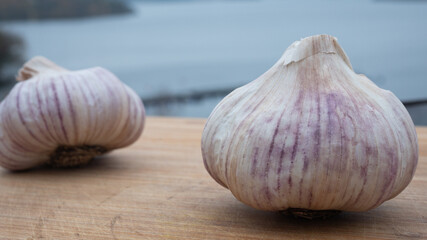 Locally farmed fresh garlic on wooden cutting board with the archipelago as background. Food and healthy ingredient concept.