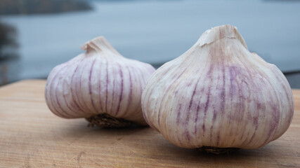 Locally farmed fresh garlic on wooden cutting board with the archipelago as background. Food and healthy ingredient concept.