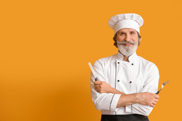 Mature male chef on color background