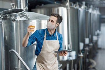 Professional brewer works in modern brewery and examining quality of ale