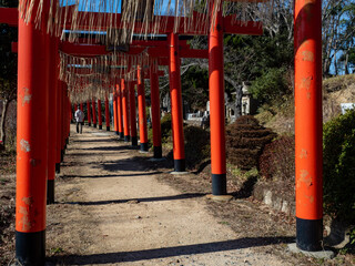 Fototapeta na wymiar 日本の神社の鳥居