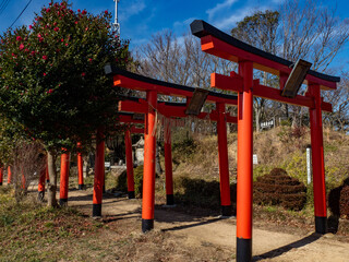日本の神社の鳥居