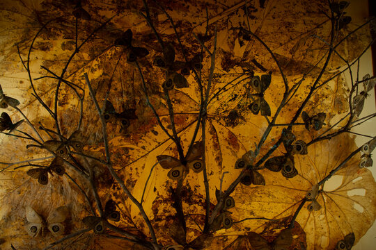 Butterflies in death nature