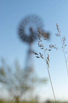 Molino de viento en el campo