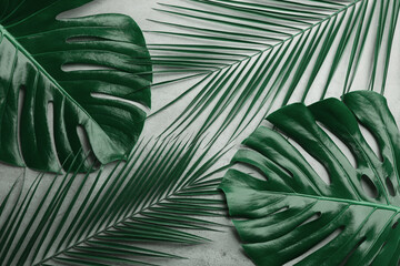 Beautiful monstera and palm leaves on light grey background, flat lay. Tropical plants © New Africa