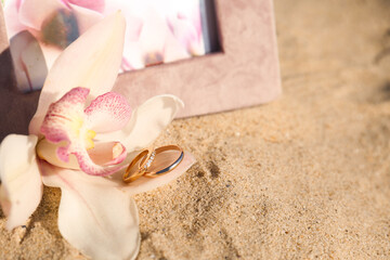 Beautiful flower with gold wedding rings on sandy beach, closeup