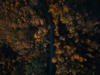 drone image of gravel road in the woods in the autumn 