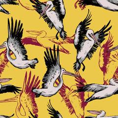 Hand drawn vector seamless pattern of beautiful pelicans. Exotic birds Ink sketches background. Vintage tropical colorful wallpaper. Abstract surface design for wrap, textile, postcard, print, fabric.