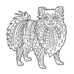 German Spitz dog toy coloring page for adult and children. Creative cute puppy for coloring book design. Black and white vector illustration.