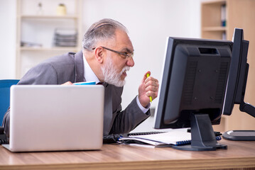 Old male boss sitting at desktop in the office