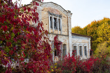 View of the outbuilding with the mezzanine of the Panskoye estate, surrounded by red thickets of grapes. Autumn colors. Kaluga region, Russia