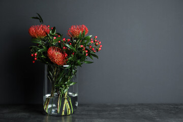 Bouquet with beautiful red protea flowers in glass vase on table against black background. Space...