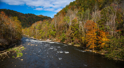 Autumn colors on the river