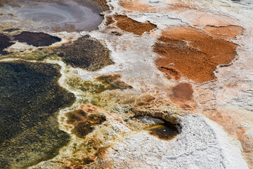 Mammoth Hot Springs Terrace, Yellowstone National Park and Preserve, USA.