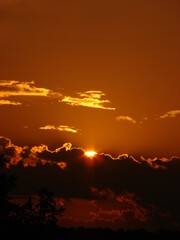 sunset over the forest - 2