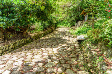 Obraz premium 旧東海道金谷坂の石畳