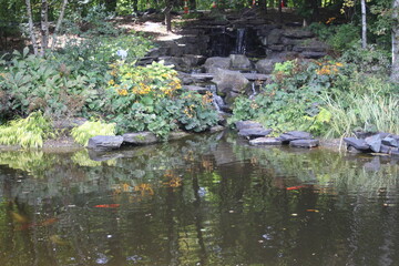 Quiet pond with a small waterfall