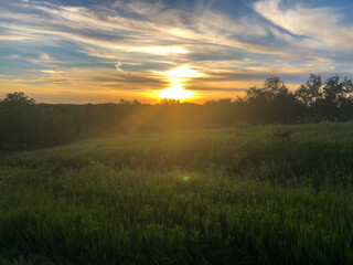 sunset over the field