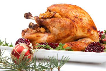 Pomegranate Glazed Roasted Turkey on White