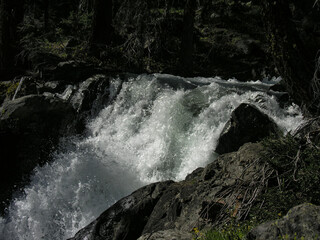 waterfall in the forest