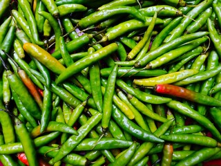 Fresh green chillies spicy pepper background