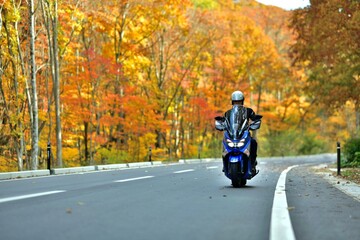 ツーリング・紅葉の道を走る