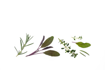 fresh rosemary, sage and garden thyme leaves isolated on white background with copy space above