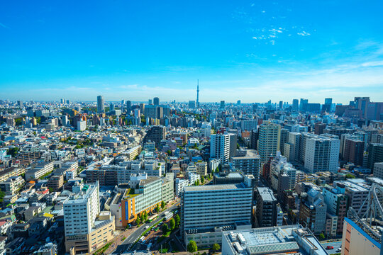 【文京シビックセンターより】東京都内、都市景観/浅草・上野・スカイツリー方面