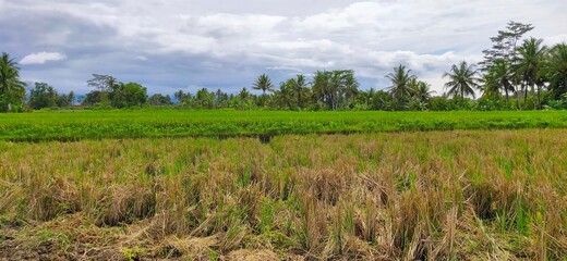 very beautiful natural scenery and clean
