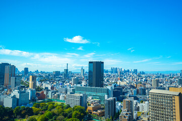 Fototapeta premium 【文京シビックセンターより】東京都内、都市景観/新宿・副都心方面