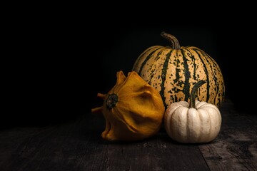 composition of pumpkins on the eve of halloween