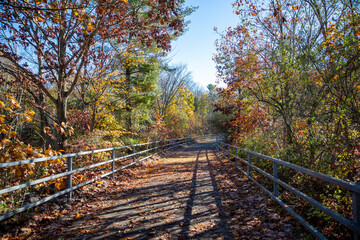 Fototapeta na wymiar The path of the Putnam Trailway glows in the colors of fall in Putnam County, N.Y.