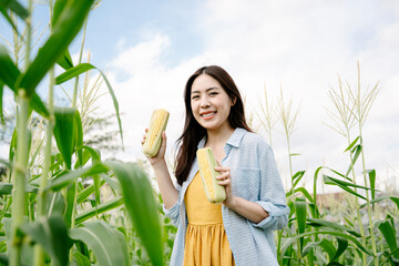 Asian farmer woman holding two raw corn in field outdoors.