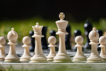 chess pieces on the board