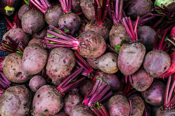 Fresh beetroots