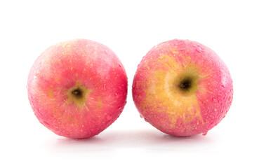 Two red apples with water drops on white background