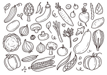 Set of vegetable doodle drawing illustration