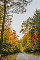 Fall foliage on a quiet desolate road on an overcast day