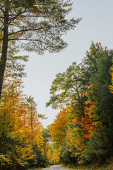 Adirondacks, NY fall foliage portrait photograph