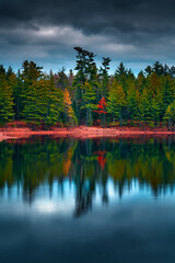 Reflection of trees in lake under gloomy weather