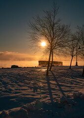 Sunrise over the sea smoke and tree shadows in extremely cold winter