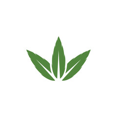 Leaf Logo Template vector symbol