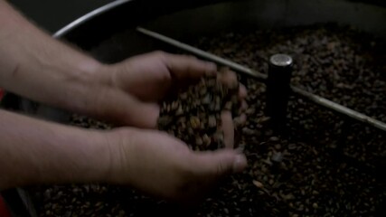 coffee beans scooped from roaster and tossed in hands, slow motion